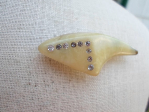 Vintage Women's Celluloid Pin Tooth or Claw Looki… - image 2