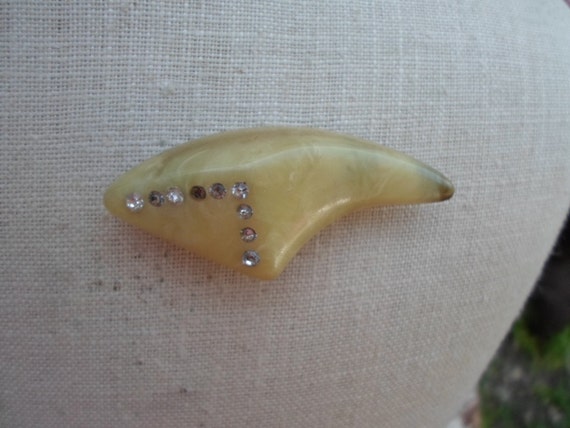 Vintage Women's Celluloid Pin Tooth or Claw Looki… - image 1