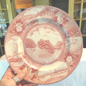 May include: A pink and white ceramic plate with a scenic design. The plate features images of a forest, a river, a deer, and a building. The text "Historic Arizona Trail" and "Grand Canyon" is printed on the plate.