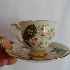 Vintage Royal Stafford Teacup & Saucer Set Bone China Made in England Light Pink Small Flowers Gold Trim Green Leaves Display image 4