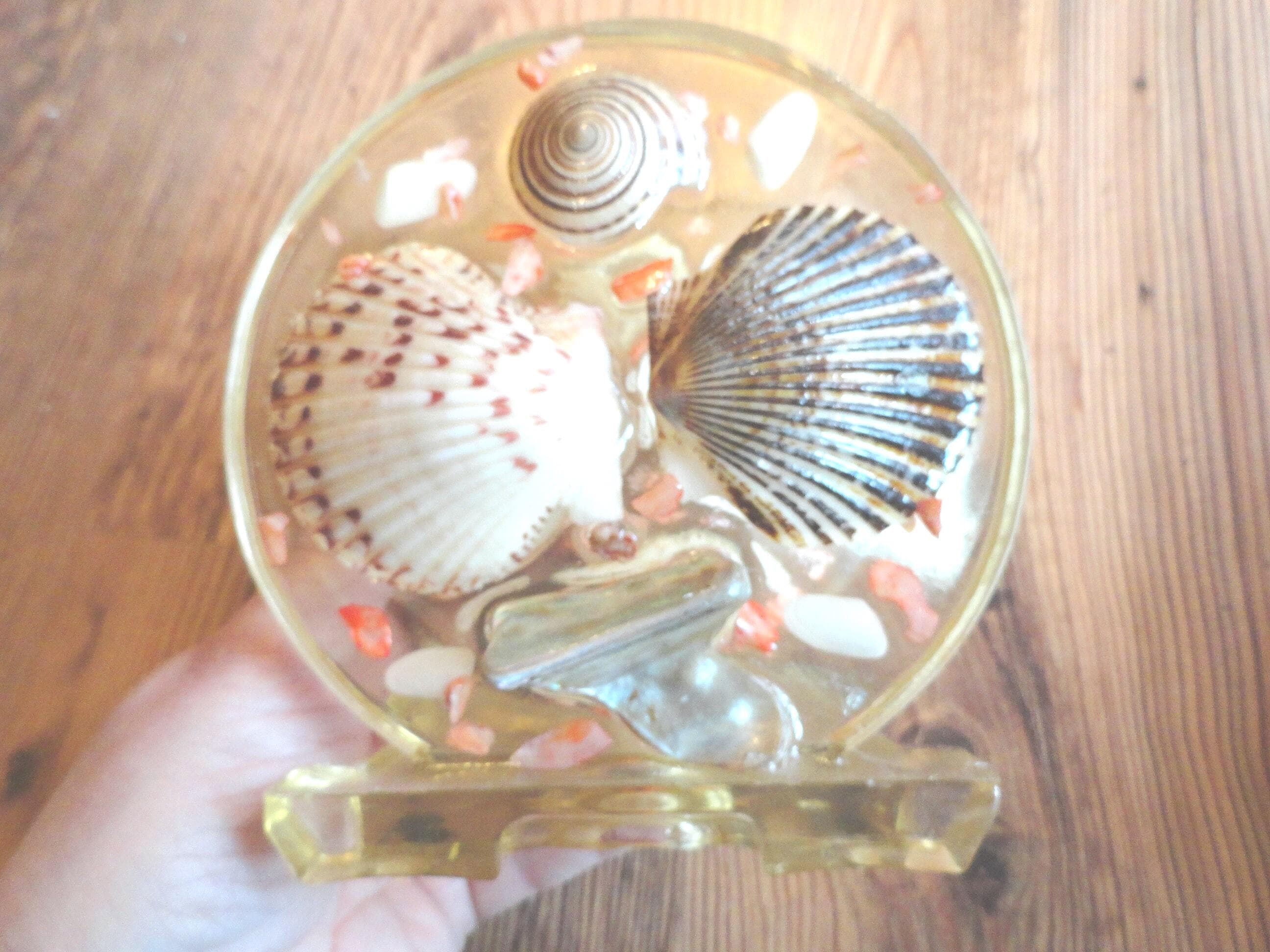 Vintage Shell Napkin Holder, Clear Resin, Kitchen Decor, 1970s 