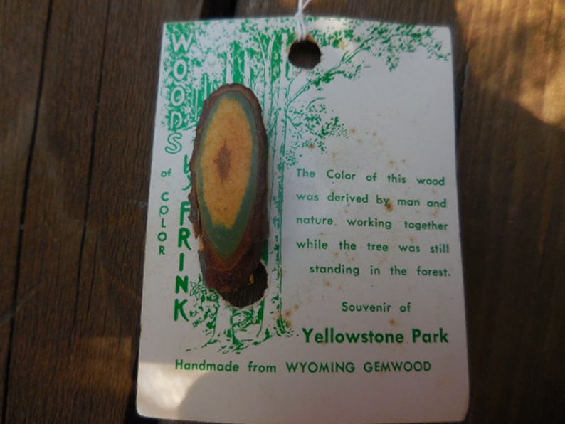Vintage 1960s to 1970s Woods of Color by Frink Souvenir of Yellowstone Park Handmade from Wyoming Gemwood Man/'s Tie Clip GreenBrown Wooden