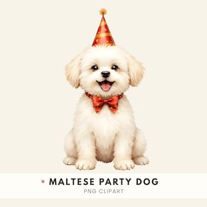 Puede incluir: Un perro maltés blanco y esponjoso sentado, con un gorro de fiesta rojo con estrellas doradas y una pajarita roja a juego. El perro tiene ojos oscuros, nariz negra y la boca abierta mostrando la lengua. El texto inferior dice: MALTESE PARTY DOG PNG CLIPART.