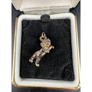 May include: A gold-toned dog charm with a small loop for a necklace or bracelet. The charm is in a black velvet box with a gold trim. The dog is in a playful pose, with its front paw raised.
