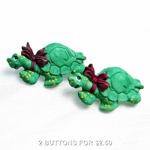 Schildkröten-Zeit: 31 mm breit x 18 mm hoch