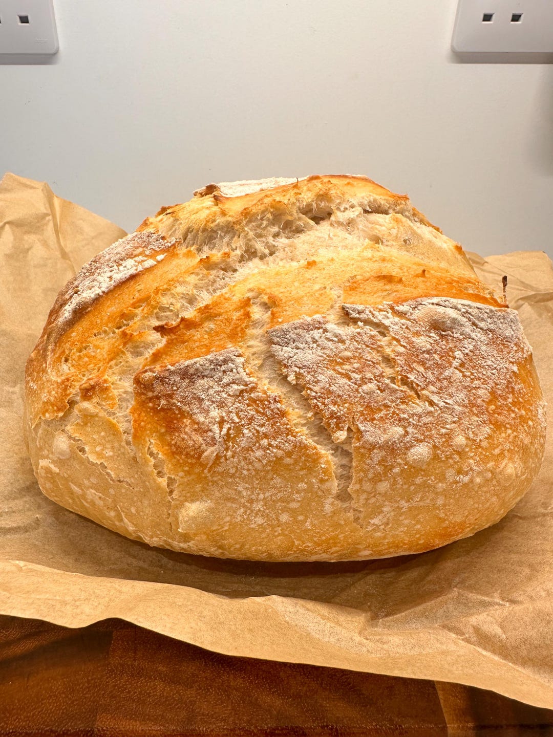 Welsh Starters Welsh Live Organic Sourdough Starter, 46 Year Old. Includes 2 Recipes ...