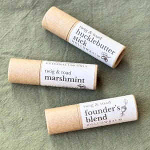 Set de regalo de bálsamo labial natural / Trío de cuidado labial botánico imagen 1