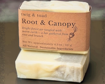 Jabón Root & Canopy / Jabón de bosque natural procesado en frío / Vetiver, pachulí y naranja