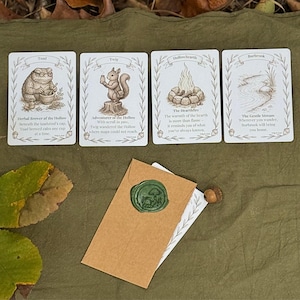 Set de regalo de bálsamo labial natural / Trío de cuidado labial botánico imagen 6