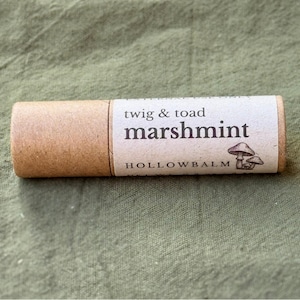 Set de regalo de bálsamo labial natural / Trío de cuidado labial botánico imagen 4