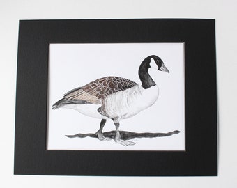 Canadian Goose Watercolor Print | Watercolor Print | Watercolor | Matted Watercolor | Wall Art | Wall Decor | Nature Print | Wall Decor