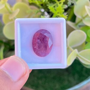 以下が含まれることがあります： 白い正方形のケースに、ファセット加工された楕円形の紫がかった赤色の宝石が表示されています。 宝石は緑の葉の背景に対して保持されています。 宝石のカットは複数のファセットを明らかにし、その輝きを増しています。