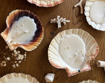 Natural Shell Candle Set with or without Pearls | Decorative Handcrafted Candles | Wedding Favors | Beach Event Decorations