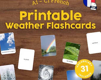 French Weather Flashcards for Kids Printable Montessori French Vocabulary Cards