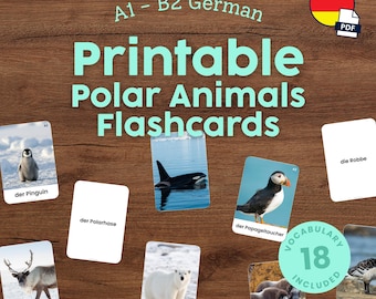 German Polar Animals Flashcards for Kids Printable Montessori German Vocabulary Cards