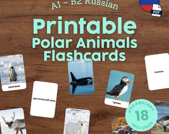 Russian Polar Animals Flashcards for Kids Printable Montessori Russian Words Cards