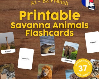 French Savanna Animals Flashcards for Kids Printable Montessori French Vocabulary Cards