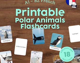 French Polar Animals Flashcards for Kids Printable Montessori French Vocabulary Cards