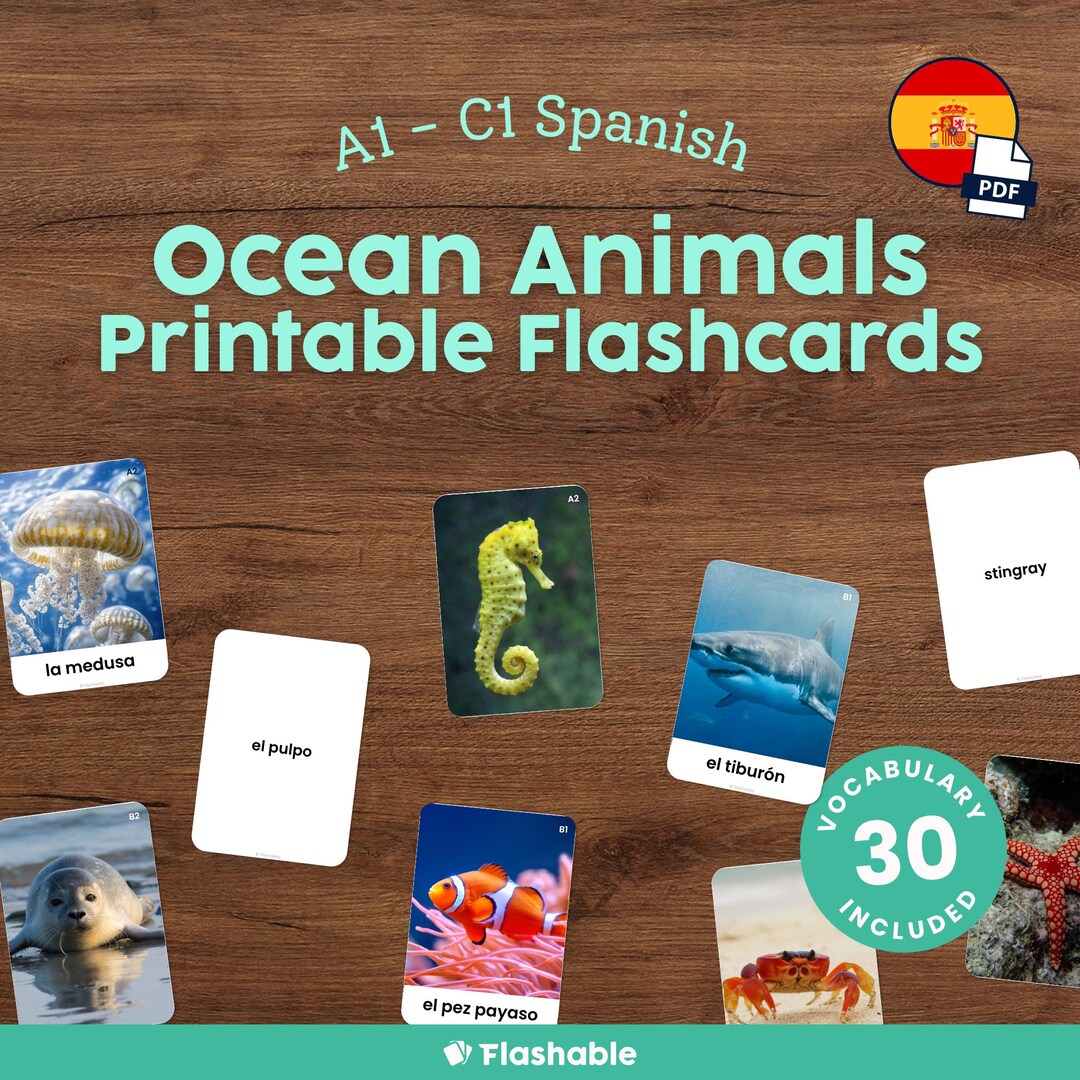 Spanish Ocean Animals Flashcards for Kids Printable Montessori Spanish ...