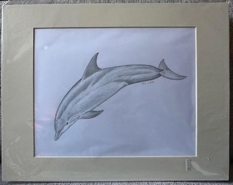 イルカの鉛筆画プリント | アーティスト Gary Tymon によるサイン入り