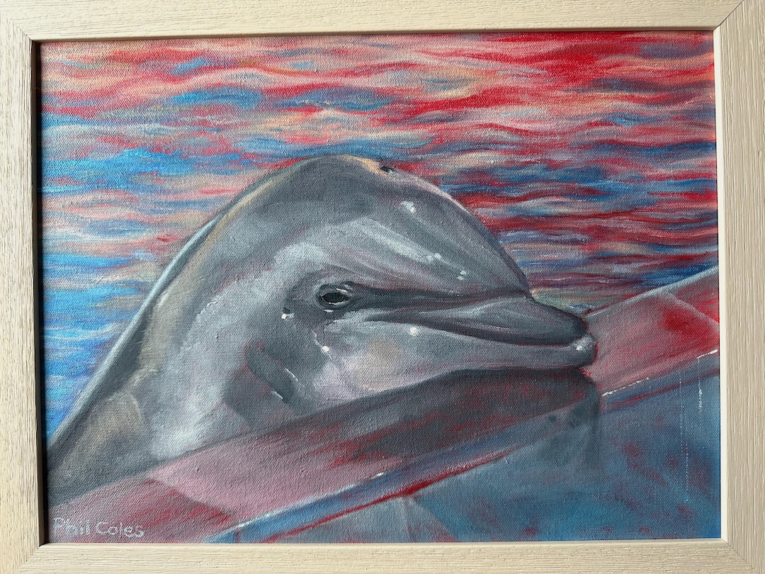 Original Bottlenose Dolphin Oil Painting Wildlife Art Wall Decor - Etsy