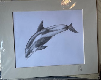 イルカの鉛筆画プリント | アーティスト Gary Tymon によるサイン入り