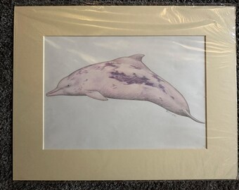 イルカの鉛筆画プリント｜ゲイリー・タイモンによるサイン入り野生動物