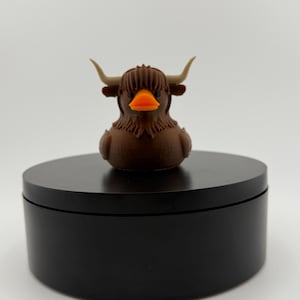 Premium highland cow duck