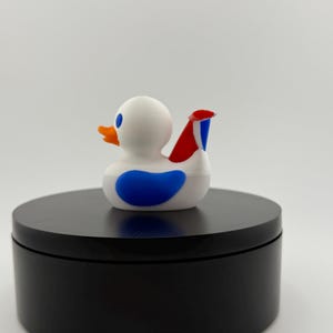 cruise ship inspired 3D printed duck