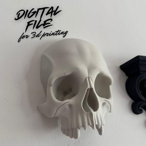 Könnte beinhalten: Ein hellgrauer Schädel an einer weißen Wand. Der Schädel hat detaillierte Merkmale, einschließlich Augenhöhlen, einer Nasenhöhle und Zähnen. Der Text "DIGITAL FILE for 3d printing" befindet sich über dem Schädel.