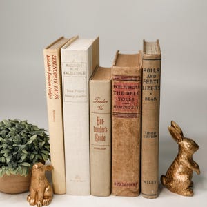 Set di libri vintage, libri decorativi per colore, decorazioni per mensole.