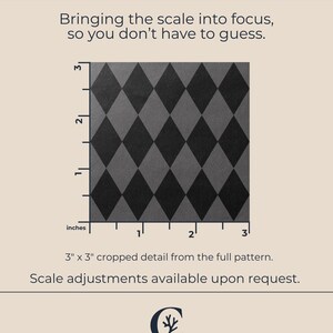 Peut inclure: Gros plan sur un motif de losanges gris et noirs, avec un d&eacute;tail recadr&eacute; de 7,6 cm sur 7,6 cm. Le texte indique "A Closer Look" et "Bringing the scale into focus, so you don't have to guess."