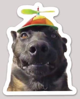 Dog Propeller Hat
