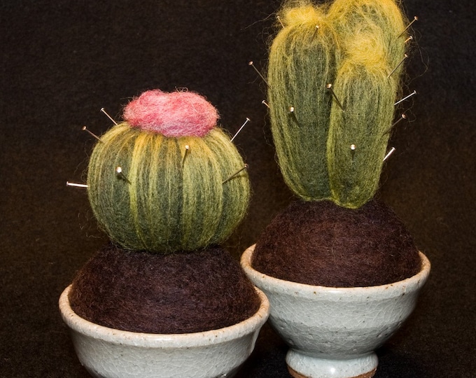 Felted Cactus Pin Cushion Etsy