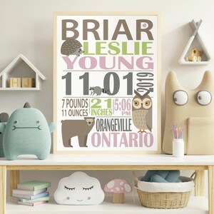 May include: A pink, green, and brown illustrated baby announcement poster with the text "BRIAR LESLIE YOUNG 11.01.2019 7 POUNDS 11 OUNCES 21 INCHES 5:06 PM ORANGEVILLE ONTARIO".