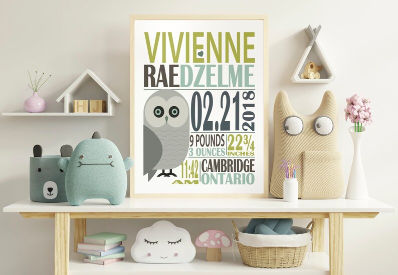 May include: A nursery print with a gray owl illustration and the text "Vivienne Raedzelme 02.21.2018 9 pounds 22 3/4 inches 11:42 AM Cambridge Ontario".