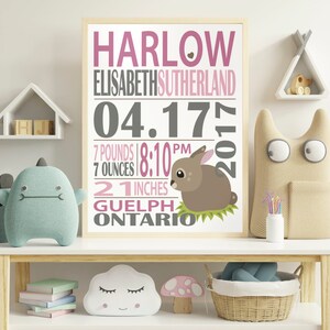 May include: A pink and gray baby announcement poster with a bunny illustration. The poster reads "HARLOW ELISABETH SUTHERLAND 04.17.2017 7 POUNDS 7 OUNCES 8:10 PM 21 INCHES GUELPH ONTARIO".