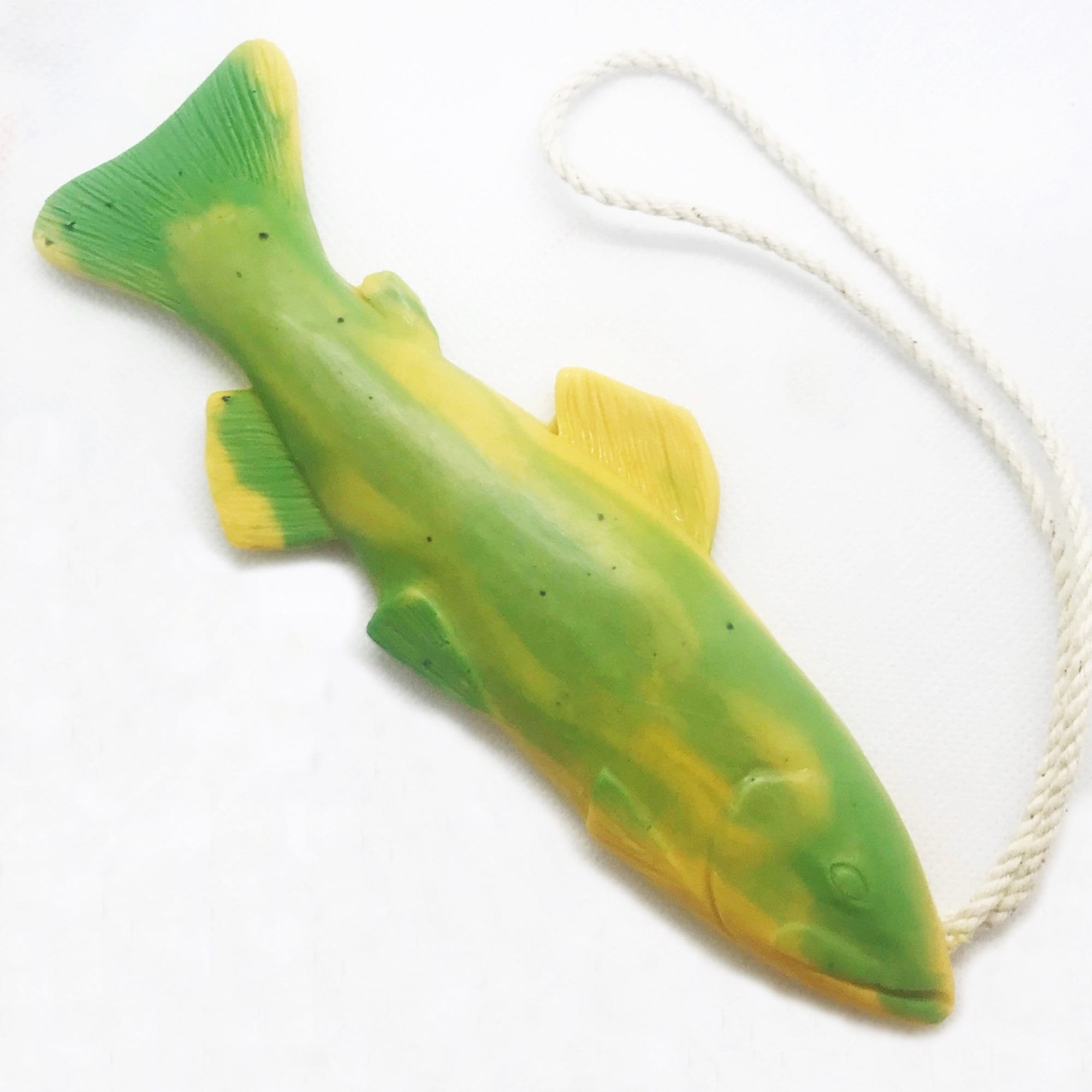 Trout Soap on a Rope, Fishing Gifts, Birthday Gift, Gifts for Men, Lime  Orange Oil, Fish Decor, , Gifts for Kids 