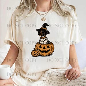 May include: Cream-colored t-shirt featuring a Halloween-themed graphic. The design includes a dog wearing a witch hat, sitting inside a carved pumpkin, with a smaller pumpkin beside it. The graphic is in black, brown, and orange.