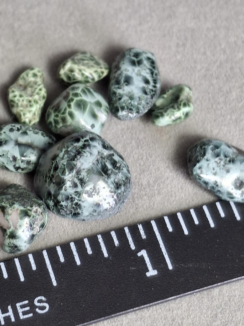 Isle Royale Greenstone 12 Count Lot Chlorastrolite Michigan State