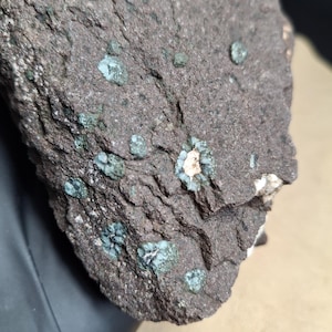 May include: Close-up of a dark brown rock with small, round, teal-colored mineral formations. The rock has a rough, textured surface with visible cracks and imperfections. Some formations have a white, crystalline center.
