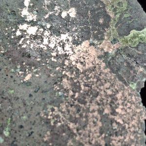 May include: Close-up of a rough, textured surface with a mix of colors. The dominant colors are dark gray and brown, with patches of light pink and green. The surface has a weathered appearance, with small, irregular shapes.