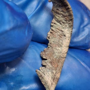 May include: A weathered, curved metal object with a jagged edge. The object has a dark brown and green patina, suggesting age or exposure to the elements. The shape is reminiscent of a blade or a tool.