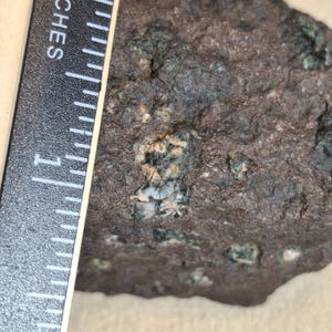 May include: A rough, dark brown rock with green and white mineral deposits. A black ruler with white markings and the word "INCHES" is placed next to the rock, showing measurements.