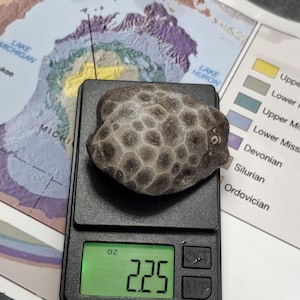 The Petoskey stone polishing kit! Great for hobbies camping crafting and fun! Comes with all you need- sandpaper and rock - by Michigan Gems