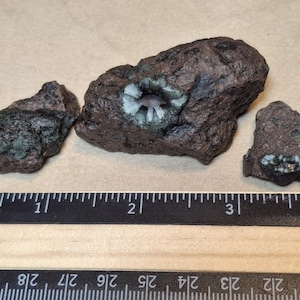 May include: Three rough, dark brown rocks with visible green and white crystal formations. A ruler in inches is placed below the rocks, showing the size of the specimens. The rocks have a natural, earthy appearance.