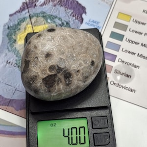 Pode incluir: Uma pedra de Petoskey lisa e arredondada com um padrão hexagonal distinto e inclusões cinza-escuras, sobre uma balança digital preta que mostra um peso de 113,4 gramas. A pedra apresenta uma textura de superfície natural em tons de cinza e bege.