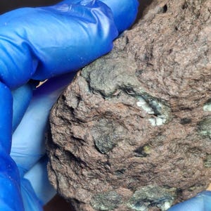 May include: A close-up of a rough, reddish-brown rock with dark green and white inclusions. The rock's surface is textured and uneven, with visible variations in color and composition. The image is well-lit, highlighting the details of the stone.