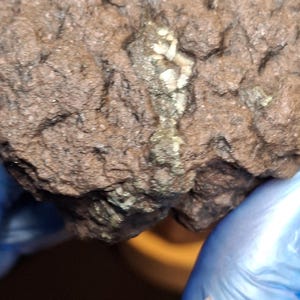 May include: A close-up of a rough, brown rock with a textured surface. A vein of light-colored mineral runs through the rock, with small, crystalline structures visible. The rock is held by a person wearing blue gloves.