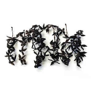 Creepy Dyed Black Cottonwood Seed Pod Clusters: Halloween Natural Art Supply